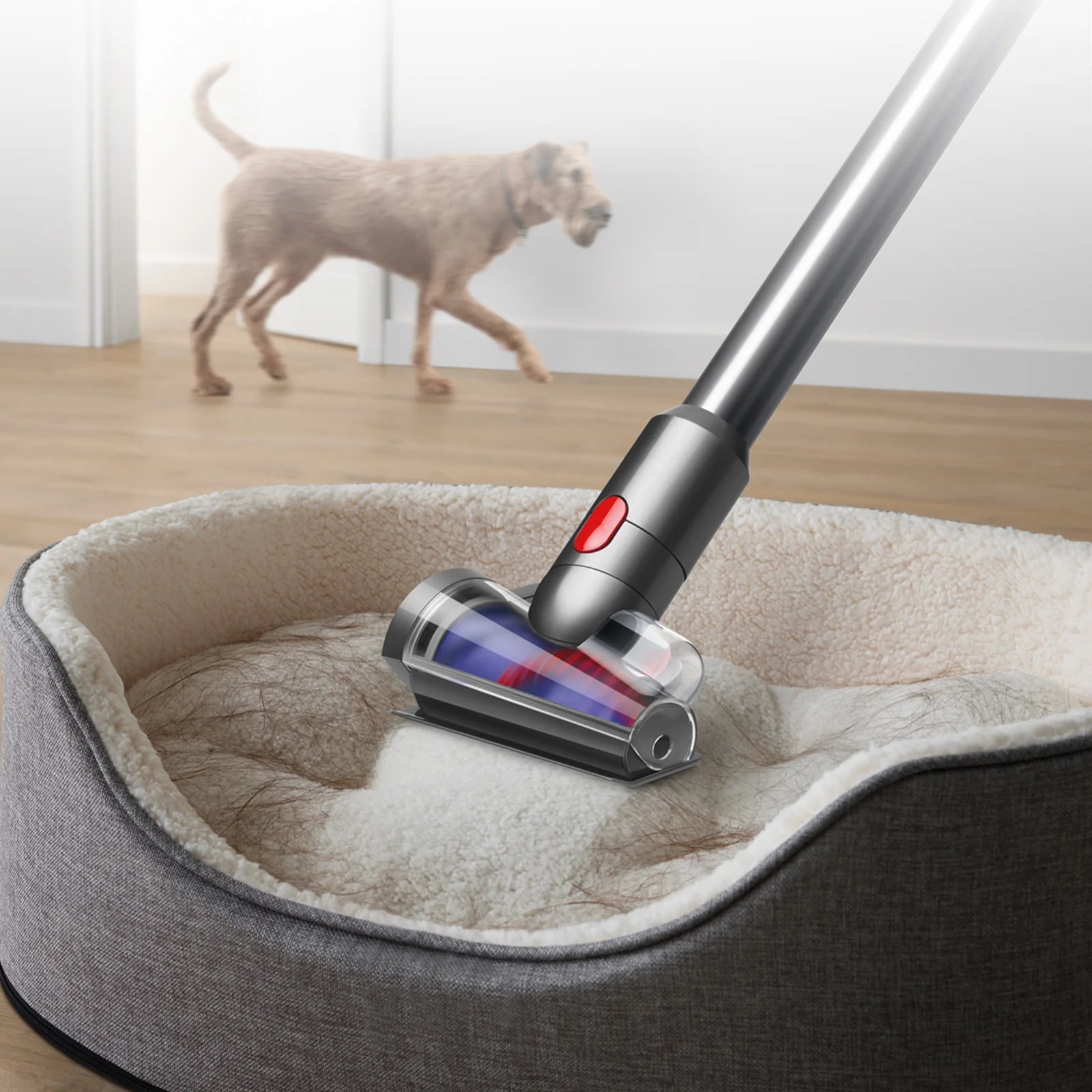 Dyson - 戴森 V12 Detect Slim Fluffy SV46 無線吸塵機 Cordless Vacuum【香港行貨】