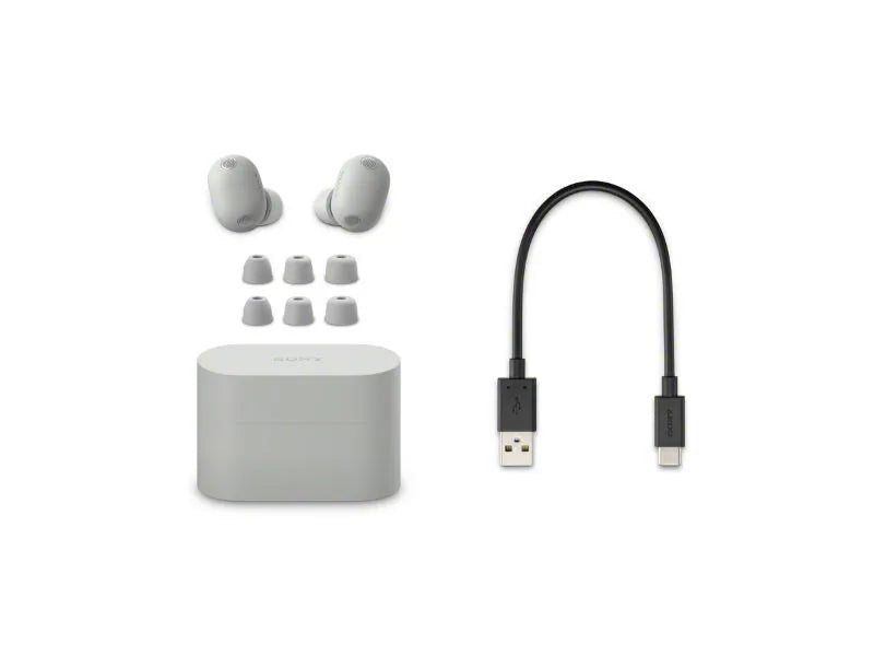 Sony - WF-1000XM6 無線降噪耳機 Wireless Noise Cancelling Headphones【香港行貨｜1年保養】